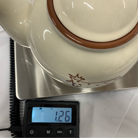 Terra Cotta 40 Ounce Teapot By Coastline Imports - Picture 9 of 9